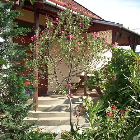 Villa Abádi Karmazsin Ház Abádszalók Esterno foto