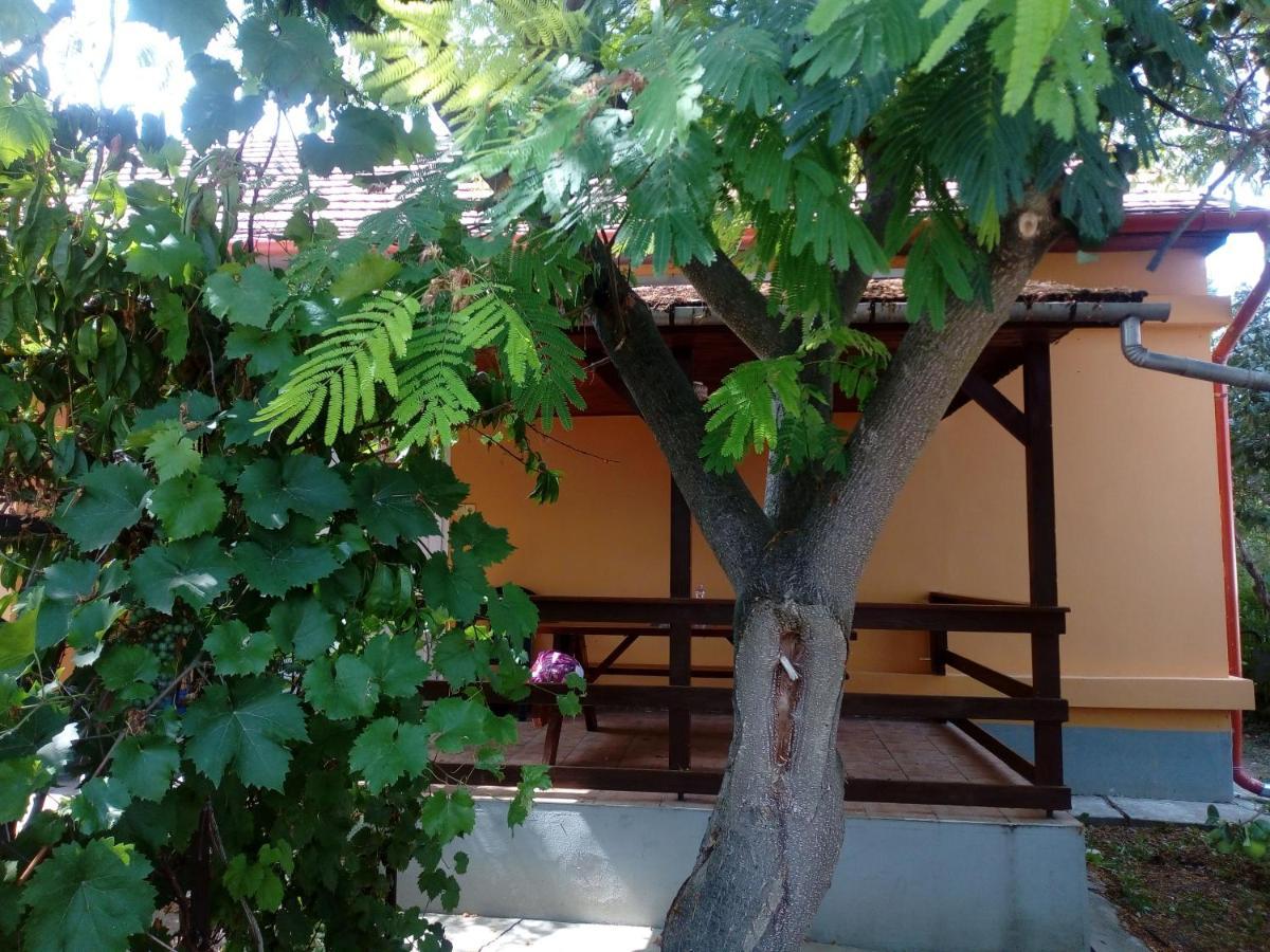 Villa Abádi Karmazsin Ház Abádszalók Esterno foto