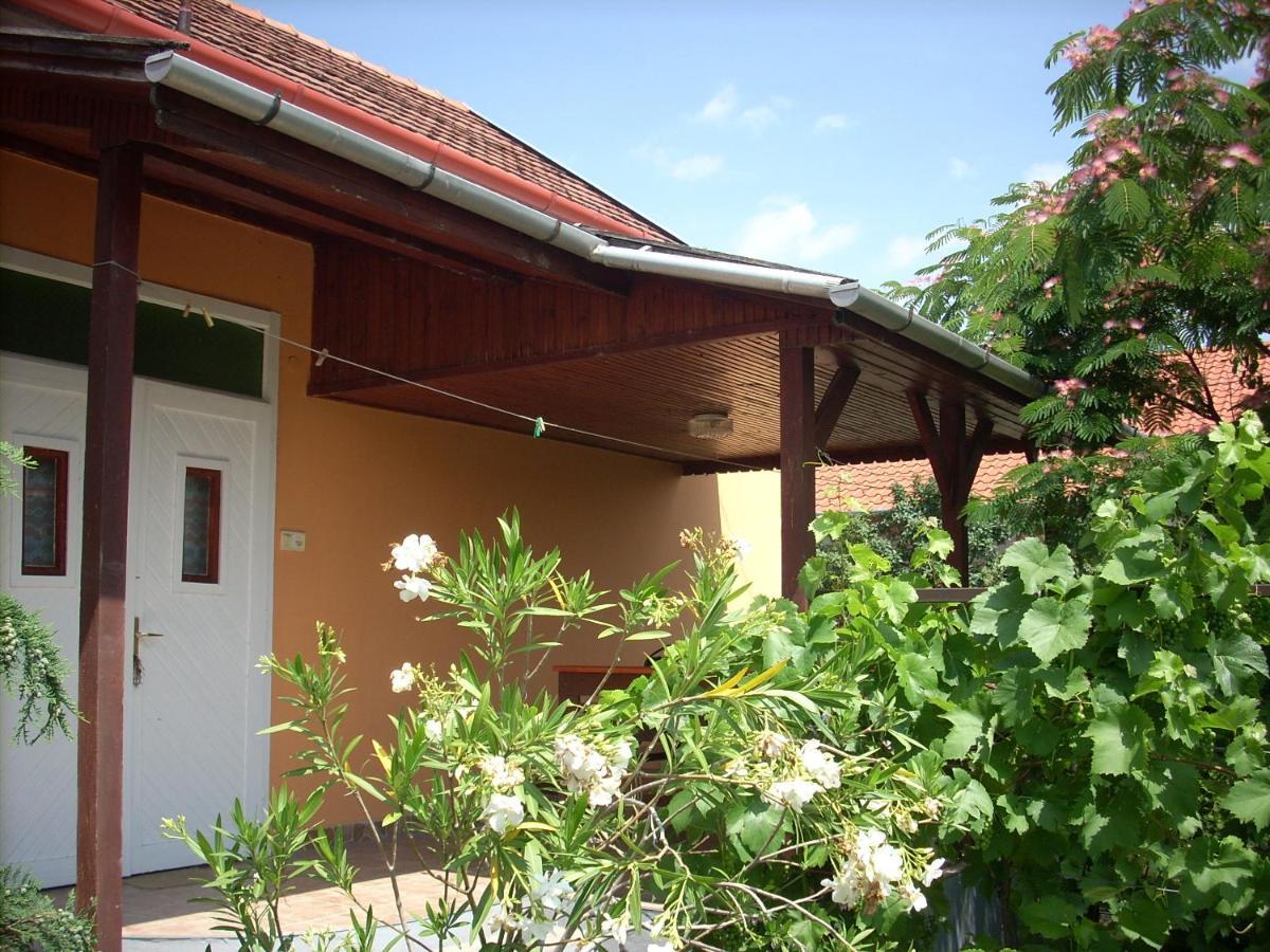 Villa Abádi Karmazsin Ház Abádszalók Esterno foto