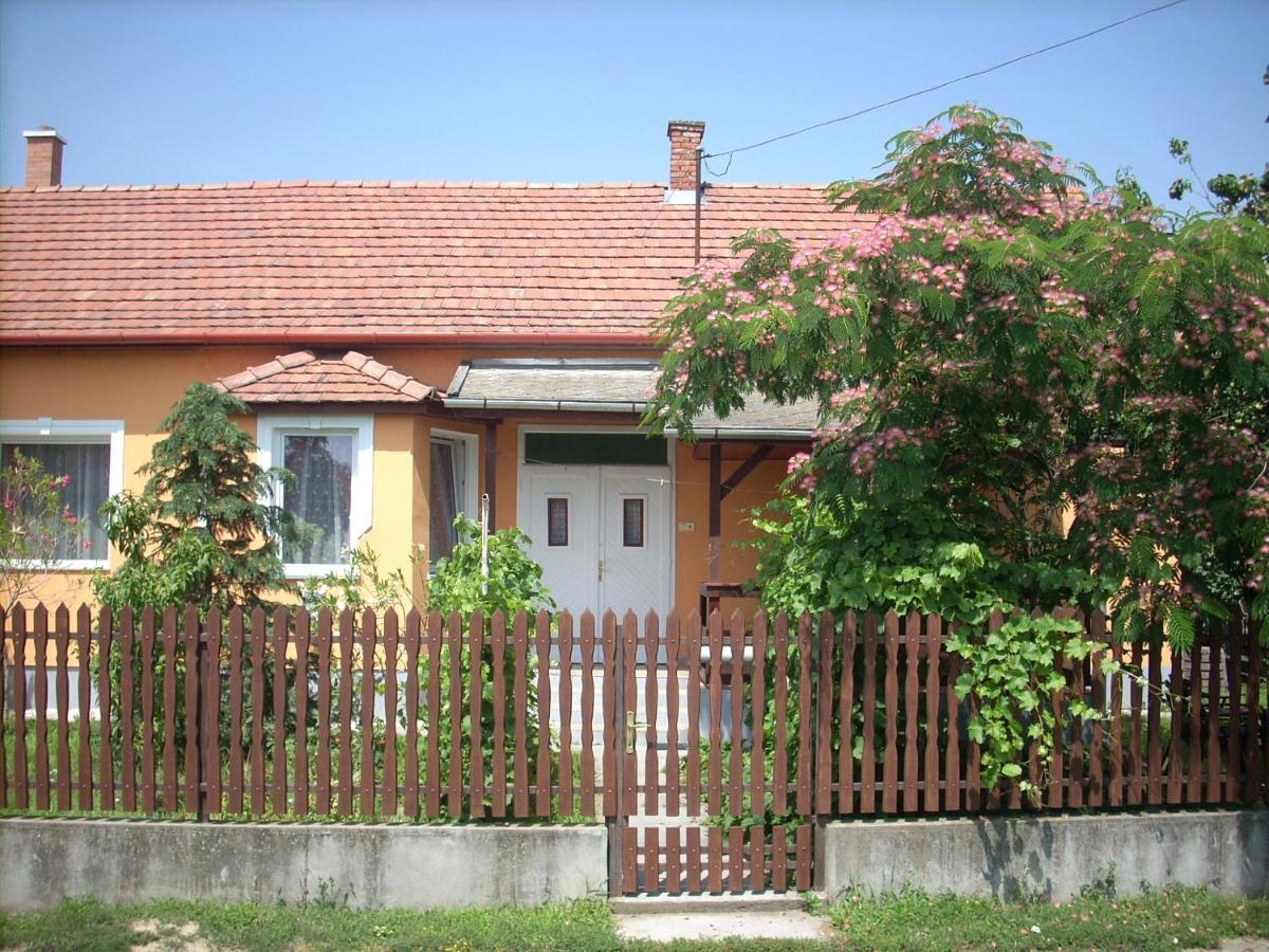Villa Abádi Karmazsin Ház Abádszalók Esterno foto