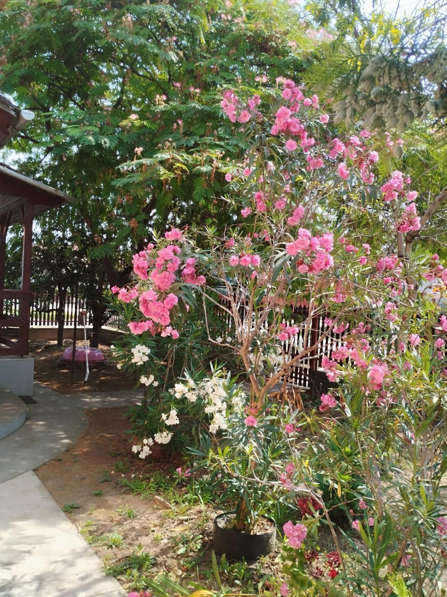 Villa Abádi Karmazsin Ház Abádszalók Esterno foto