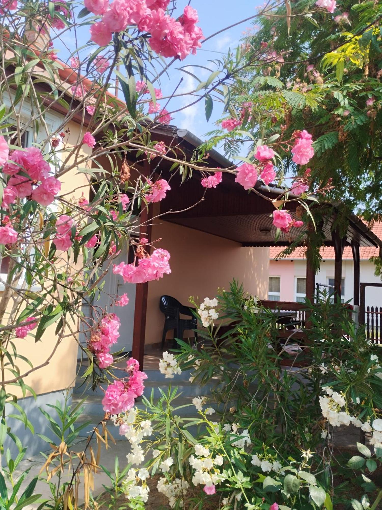 Villa Abádi Karmazsin Ház Abádszalók Esterno foto