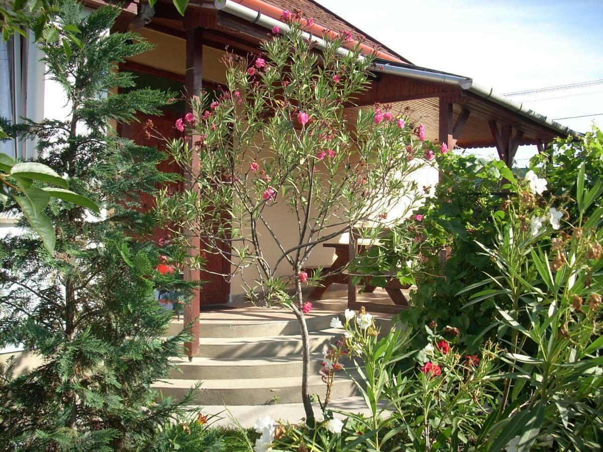 Villa Abádi Karmazsin Ház Abádszalók Esterno foto